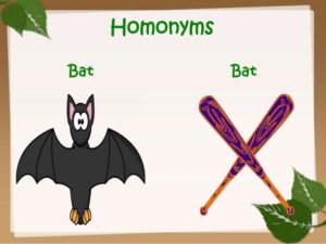 homonyms-1