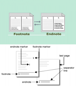 papers vs endnote vs zotero
