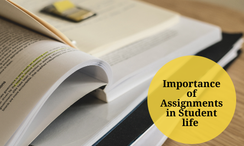 importance of assignment in school